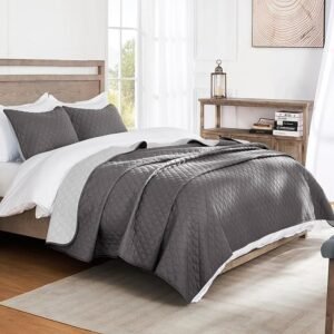 Lightweight Queen Quilt Bedding Set with Pillow